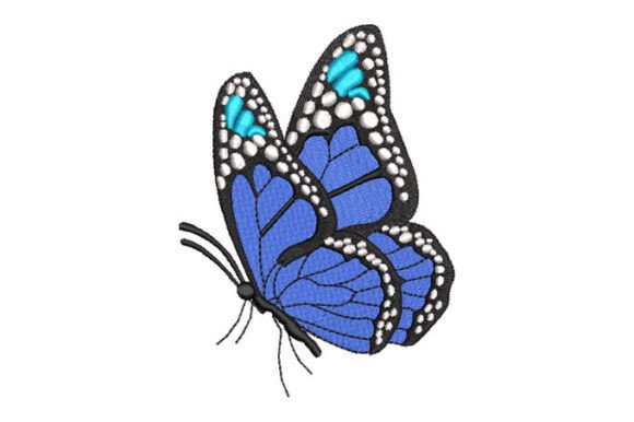 Review: Black Butterfly with White Border Embroidery